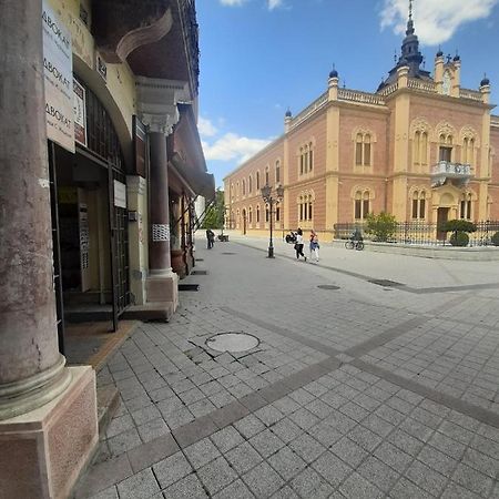 Apartmani Sara Novi Sad Bagian luar foto