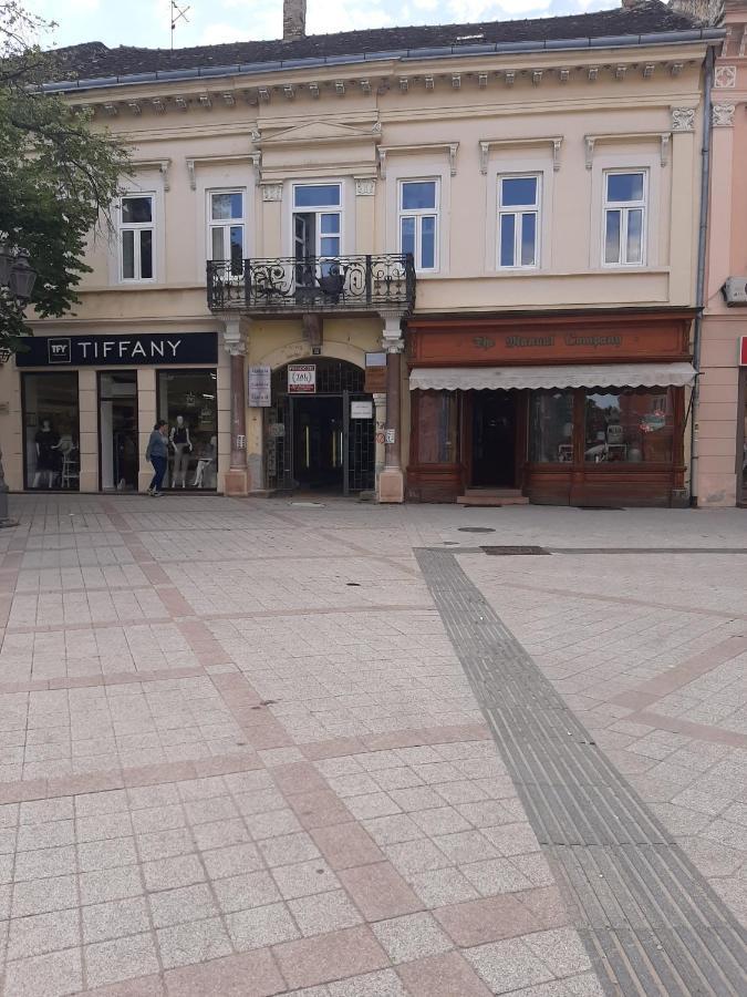 Apartmani Sara Novi Sad Bagian luar foto